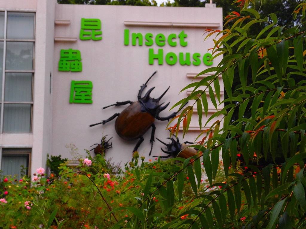 兒童探知館 大埔海濱公園內的昆蟲屋
