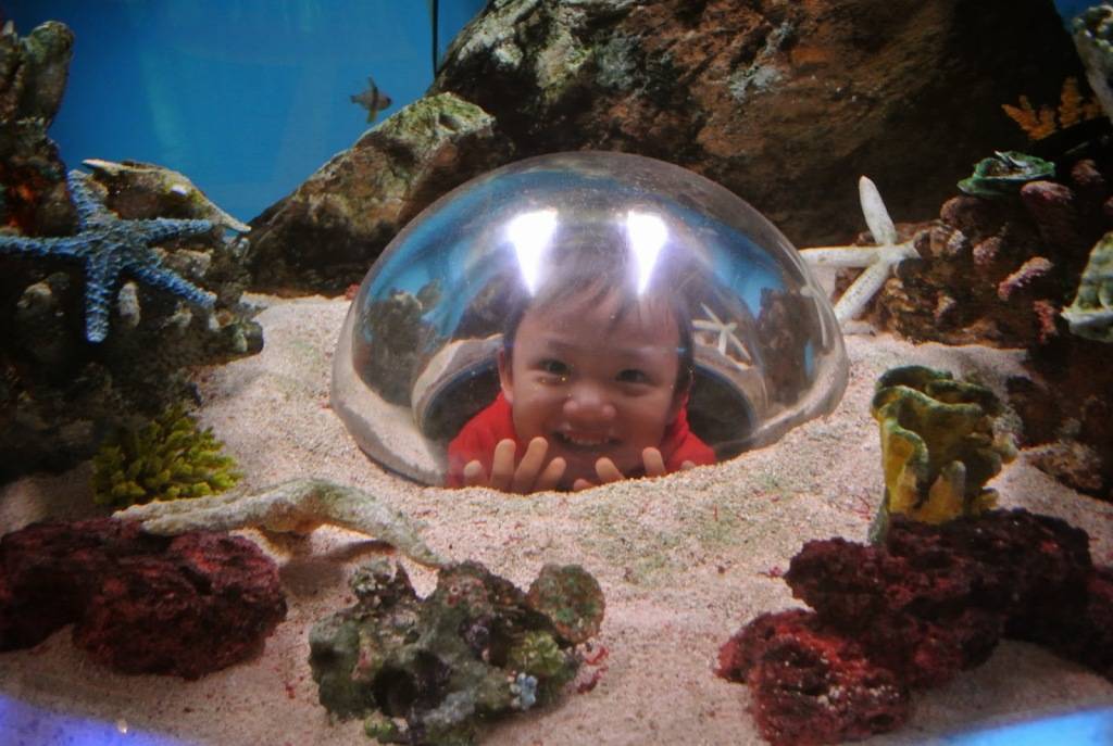 兒童探知館 兒童探知館的深海探秘,小朋友可以隨便走進「海底」拍照。（圖片授權：甜魔媽媽新天地日誌）
