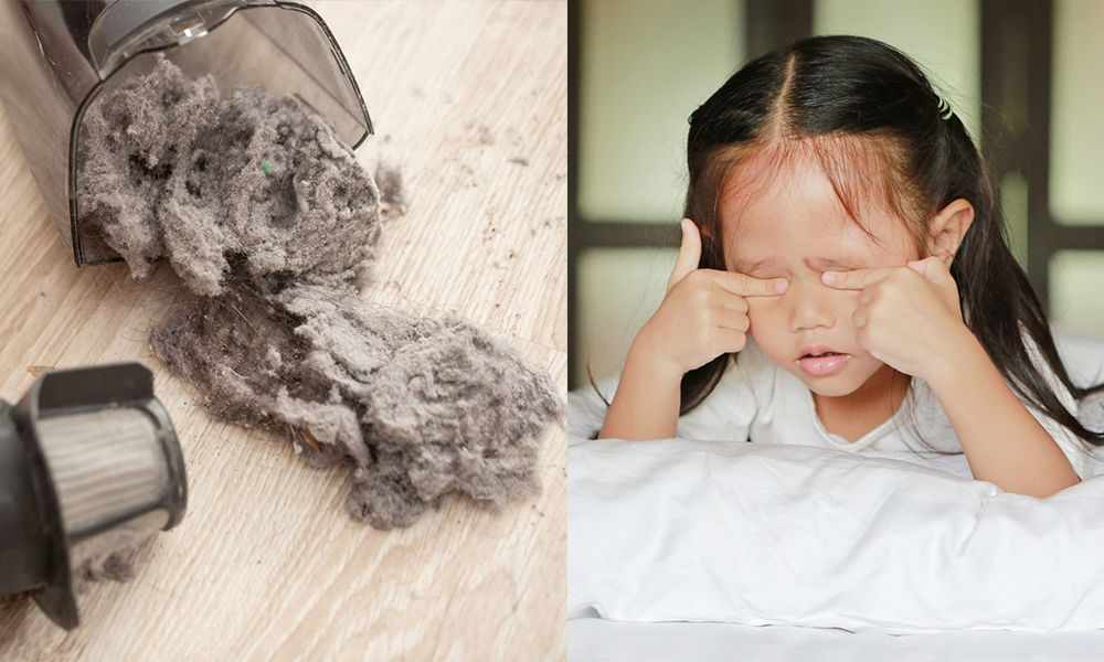 5招清潔床褥大法  除皮屑塵蟎、尿漬、血漬｜不願再與過千萬塵蟎同眠！